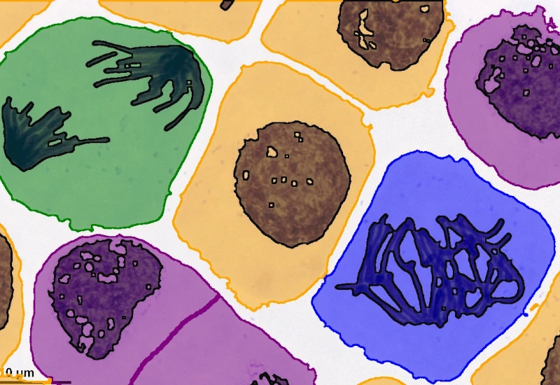 Dynamic Content Image